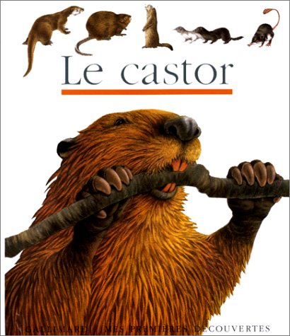 Castor (Le) AD ruban vert