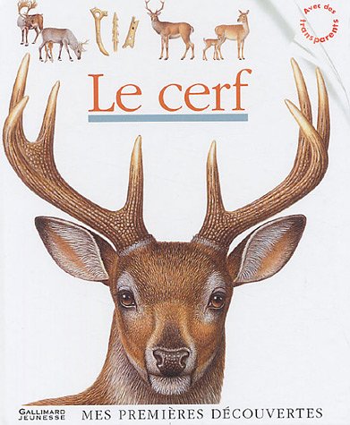 Cerf (Le) AD ruban vert