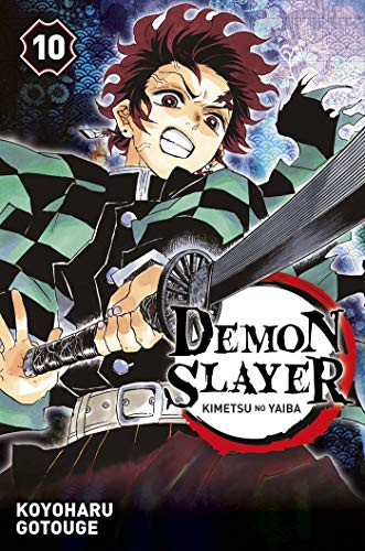 Demon slayer (10)