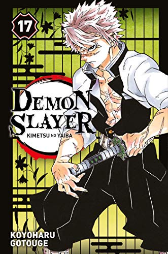 Demon slayer (17)