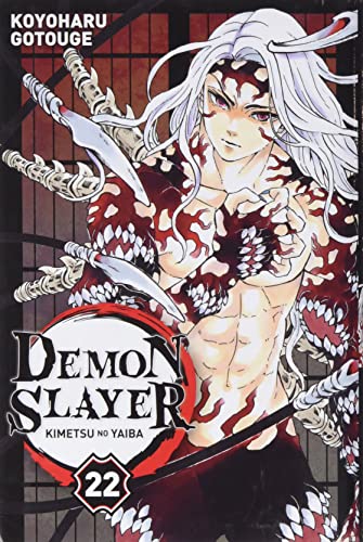 Demon slayer (22)