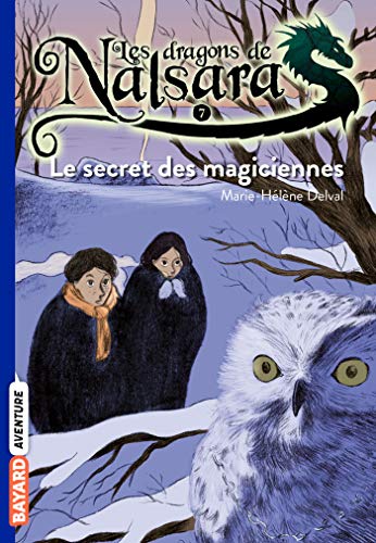 Dragons de Nalsara N°07 : Secret des magiciennes (Le) (Les)