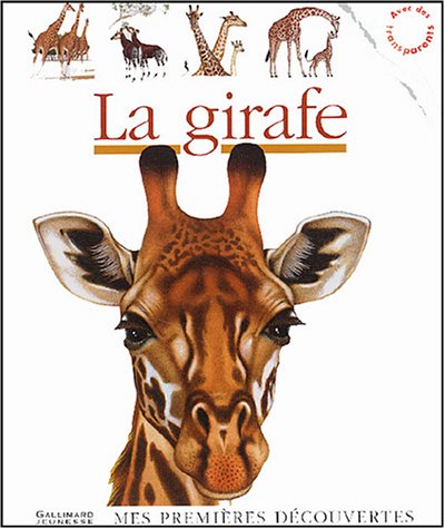 Girafe (La) AD ruban vert