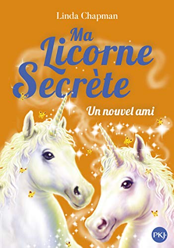 Ma licorne secrète (T06) : Un nouvel ami